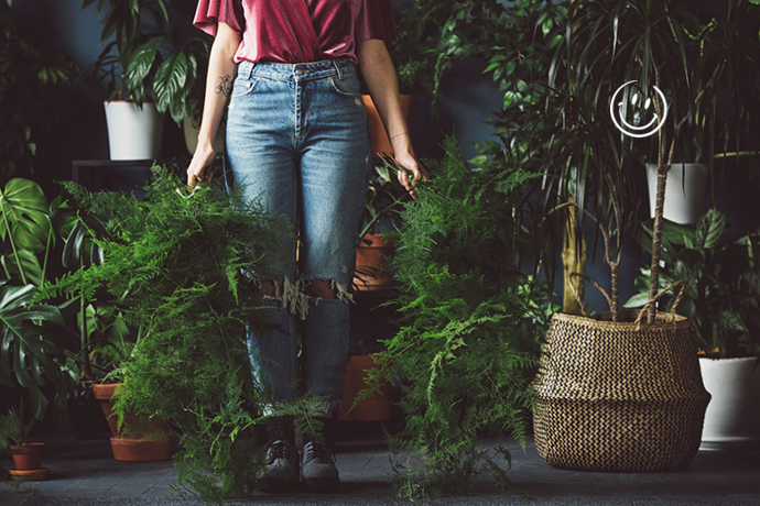 De la jungle de l’entreprise au potager de bureau