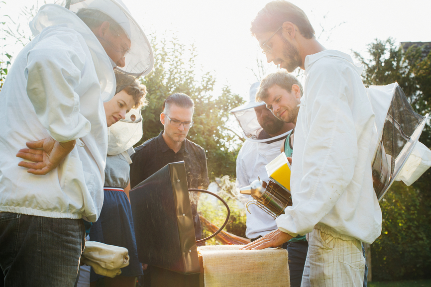 Lorsque les abeilles accompagnent les entreprises